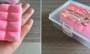 Faux Crisp pink bar Crispy Squishy Toy in Plastic Storage Case